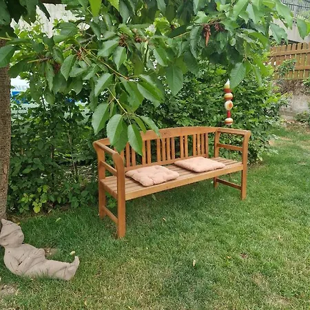 Rebhaus Adams Moselkern